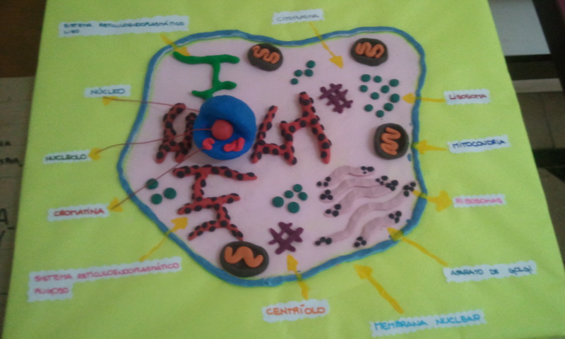 Colegio Santa Teresita - Florida - detalle-base